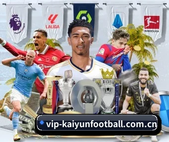vip-kaiyunfootball.com.cn APP